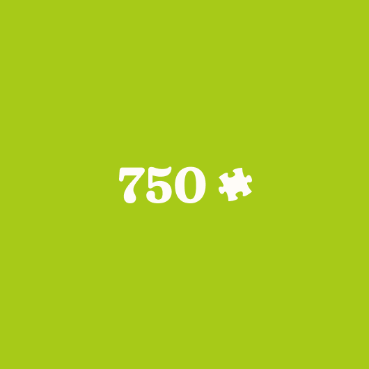 750 Piece Puzzles