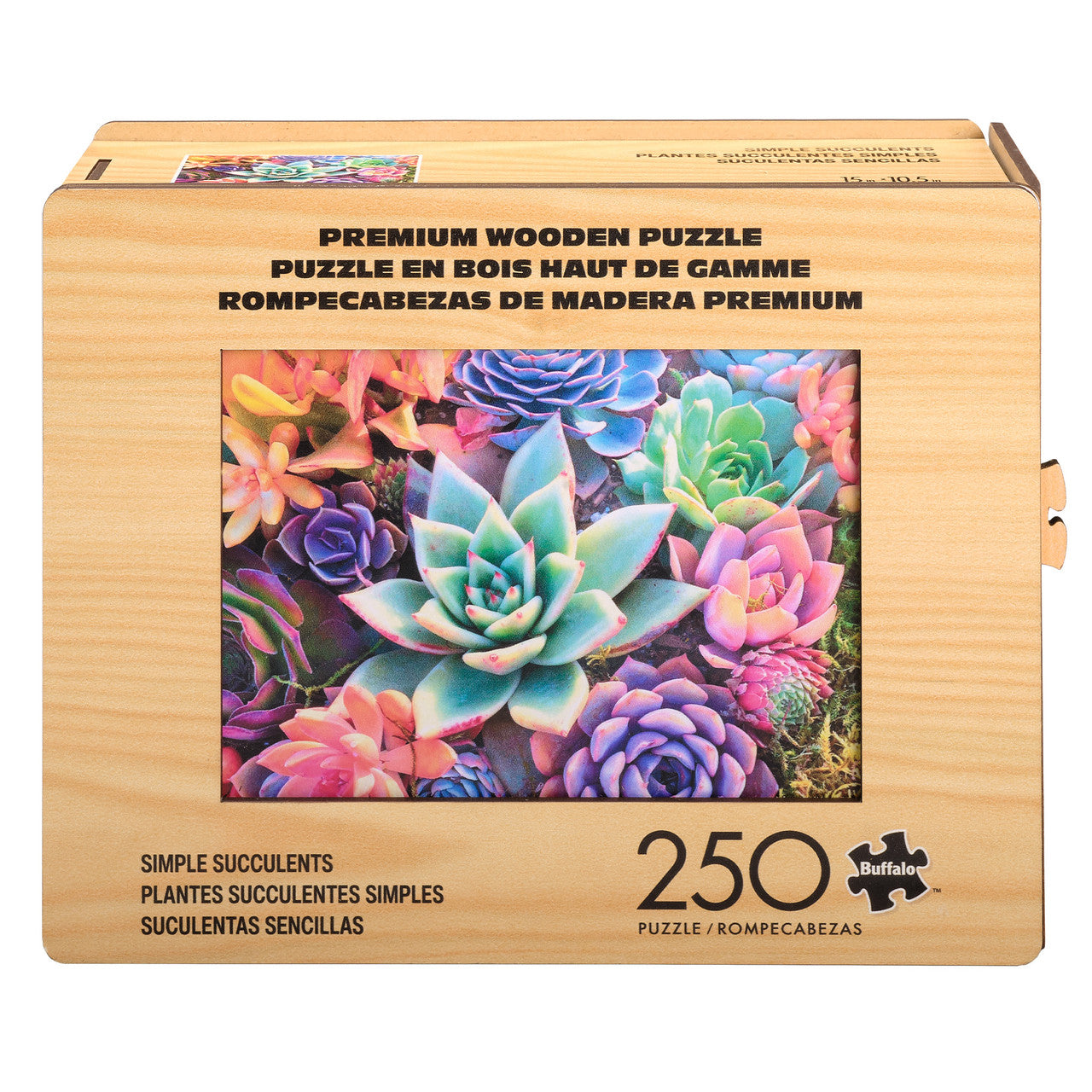 Wood Puzzle: Simple Succulent-Whimsy Pieces 250 Piece Puzzle