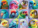 Bonjour: Parrot Perfection 1000 Piece Puzzle